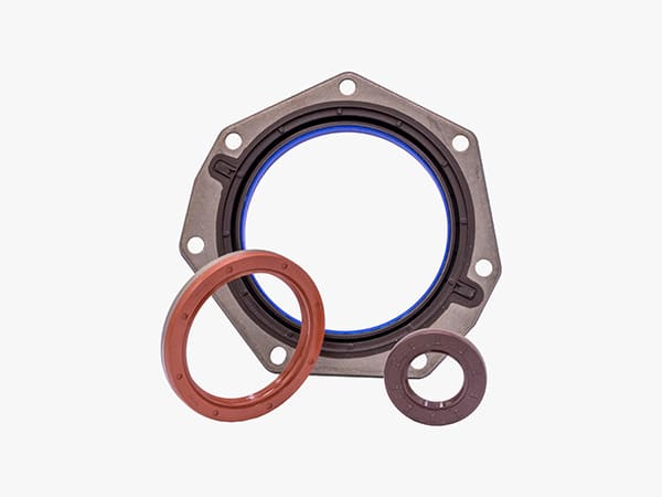 prezzo-catena-di-trasmissione-carpi